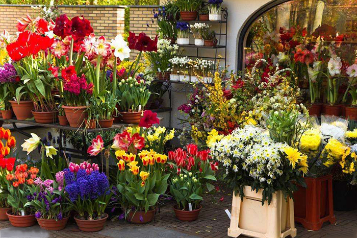 淘花坊花店