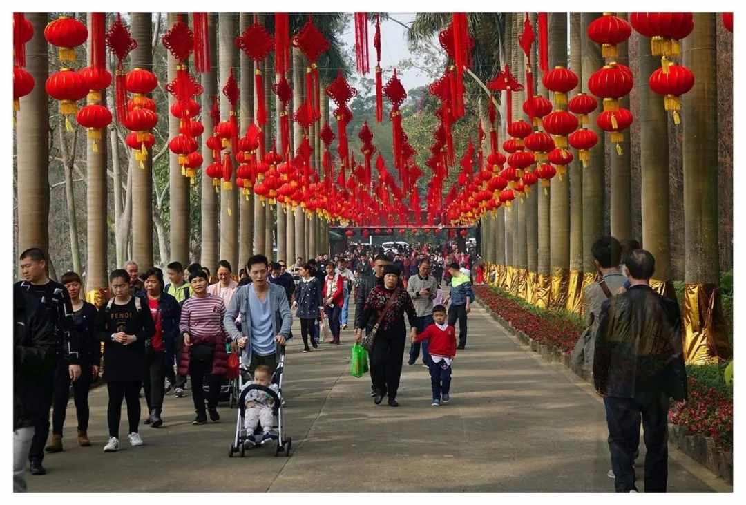 春节假期，380万人次来肇庆过年~喜庆热闹登上央视！