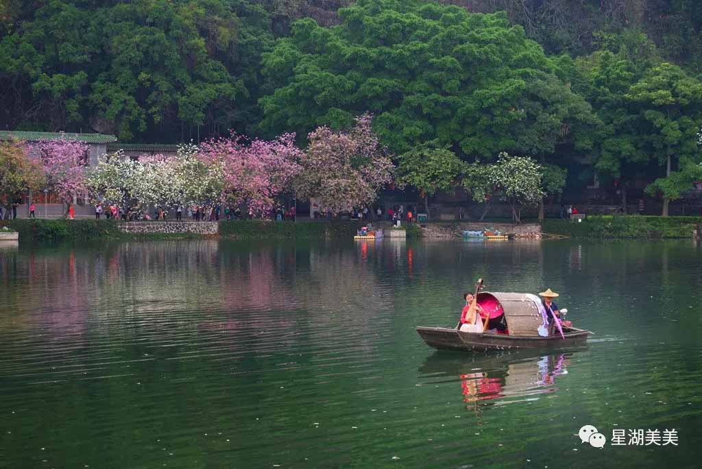 “星湖最美的花季”摄影大赛金奖【相机组】花落谁家？等你来决定！